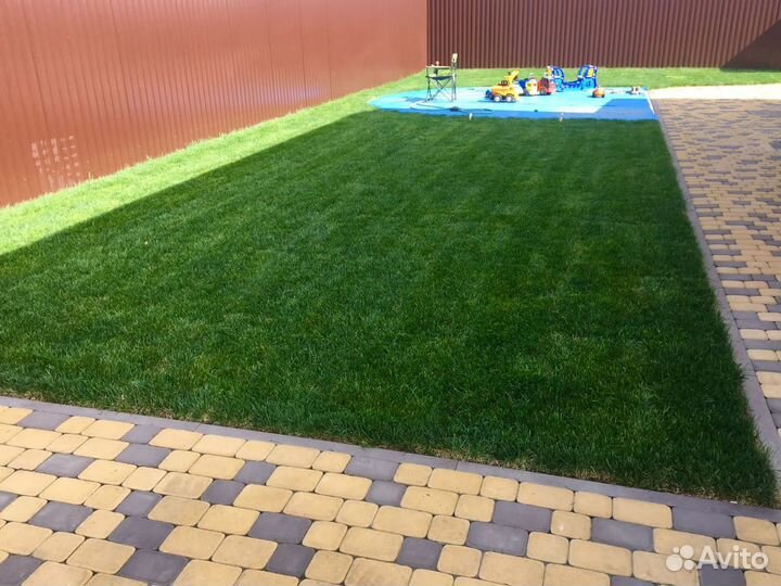 Рулонный газон