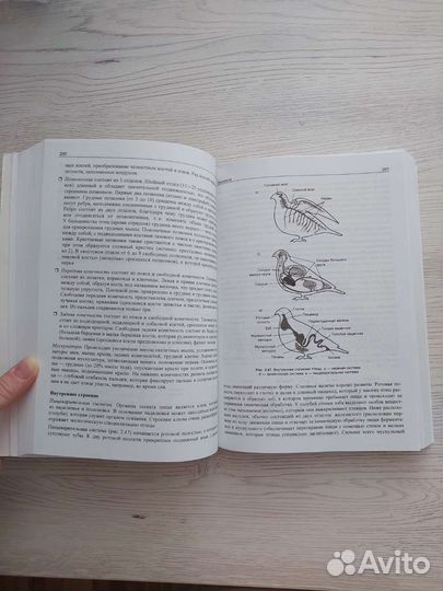 Учебник по биологии Соловков