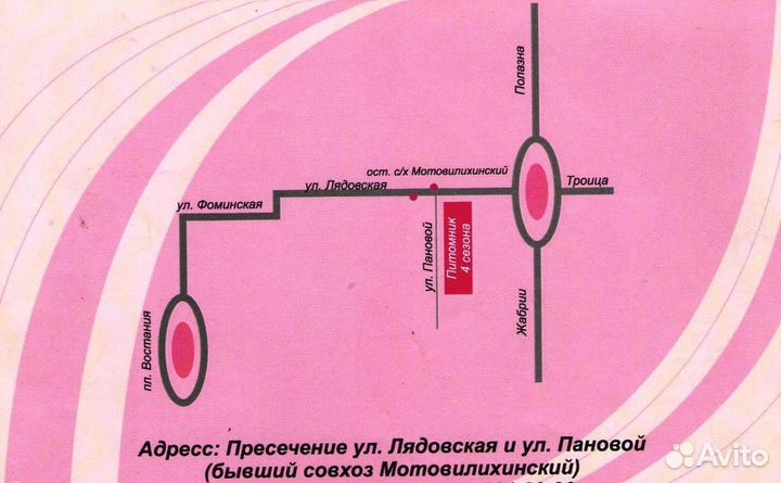 Питомник декоративных растений