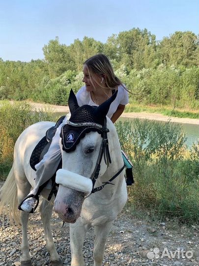 Фотосессии, аренда лошади