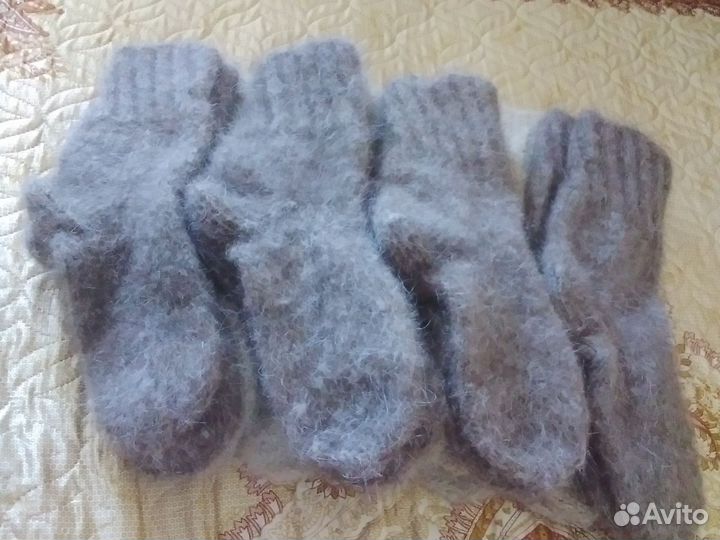 Собачьи носки