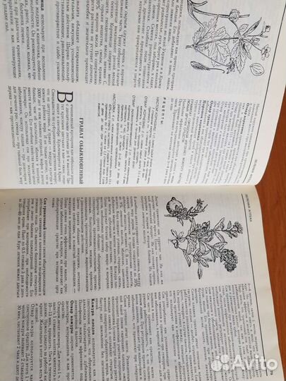 Книга Зеленая аптека Природа лечит В.Орехов