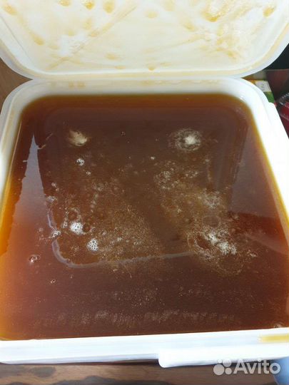 Мед Гречишный 2024 года 1-3 литра