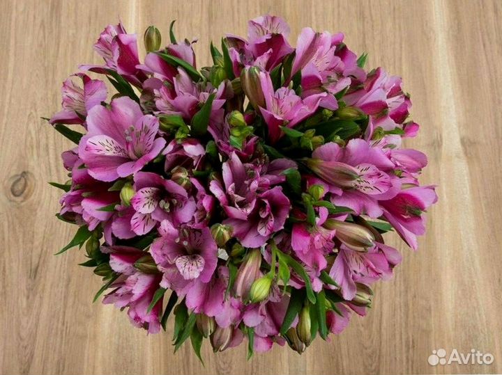 Альстромерии с доставкой по Краснодару