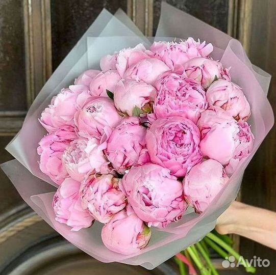 Пионы Букеты Цветы Доставка