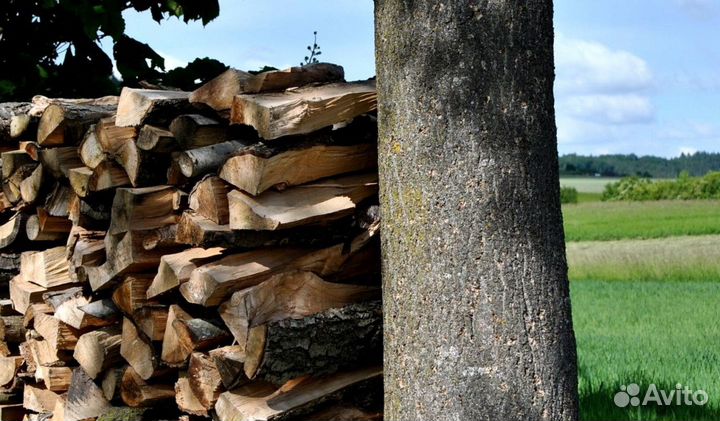 Дрова ольха