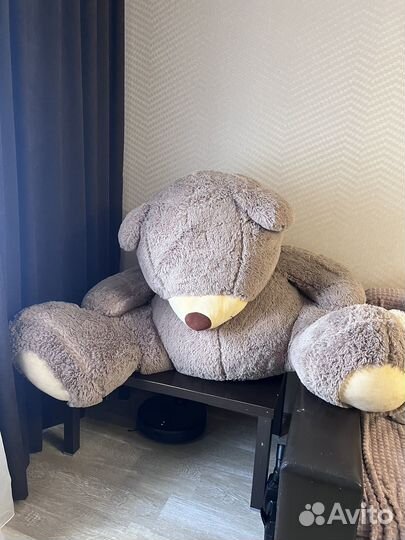 Плюшевый медведь