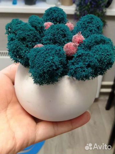 Кашпо со мхом