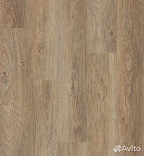 Ламинат Alloc Original Дуб Каньон Светлый 08520