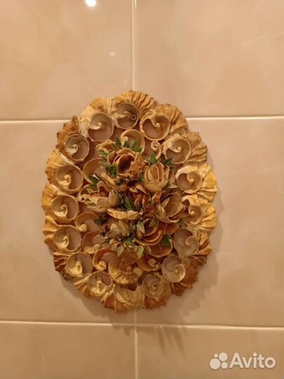 Ракушечник