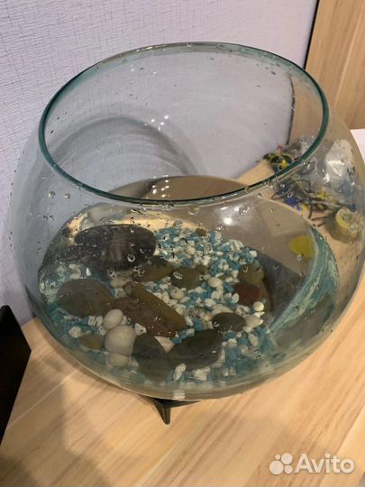 Аквариум 20 л круглый с черепахой и грунтом