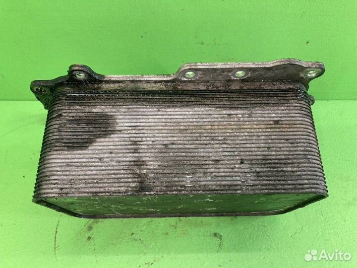 Радиатор маслянный DAF XF105