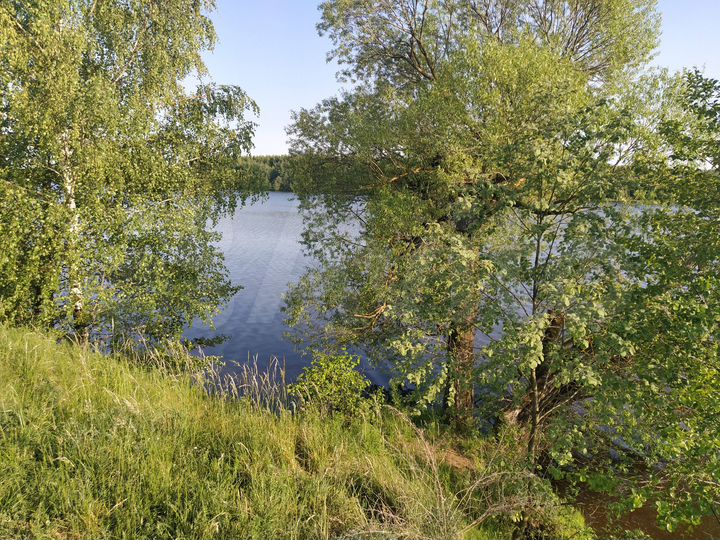 Участок 22 сот. (ИЖС)