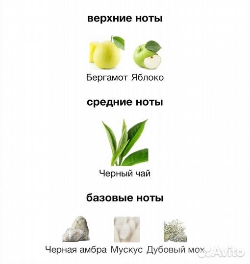 Vilhelm parfumerie dear polly