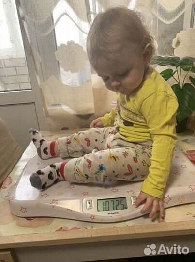 Весы детские аренда