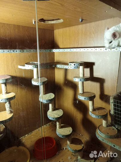 Клетка для шиншиллы