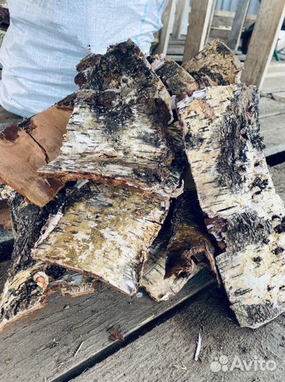 Березовая кора