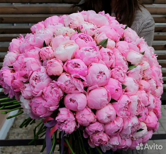 Пионы цветы букеты