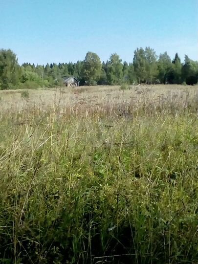 Участок 1,4 га (СНТ, ДНП)