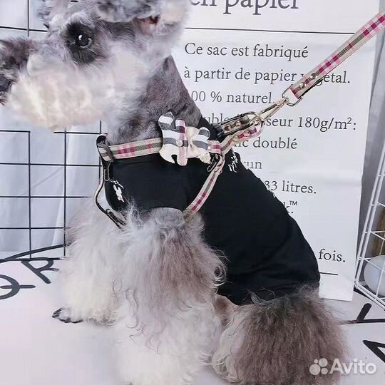 Товары для животных собак