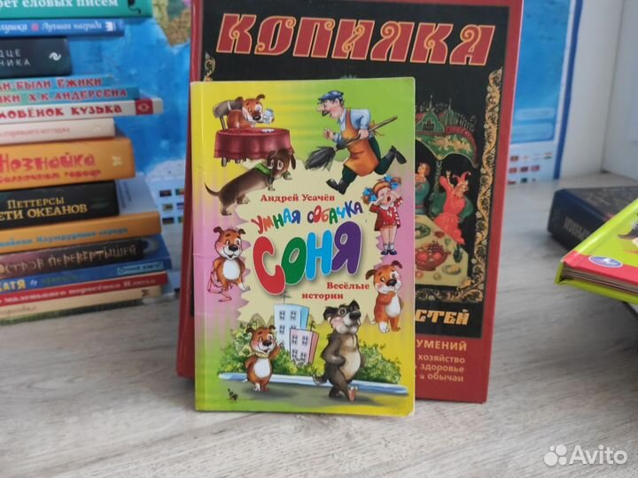 Книги напрокат