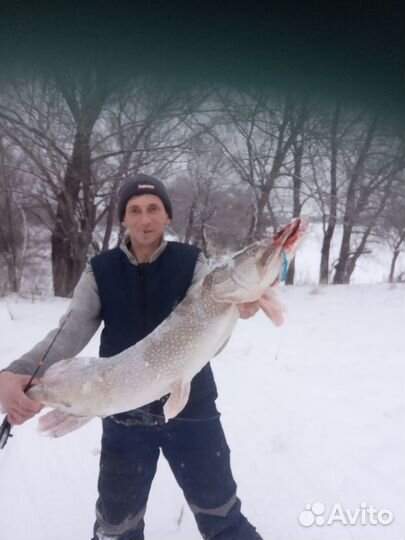 Рыбалка с Гидом