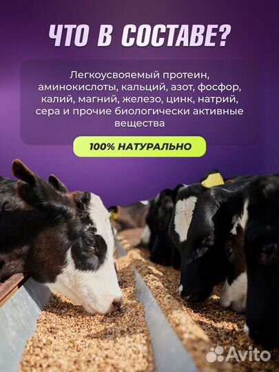 Мясокостная мука