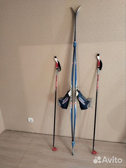 Беговые лыжи