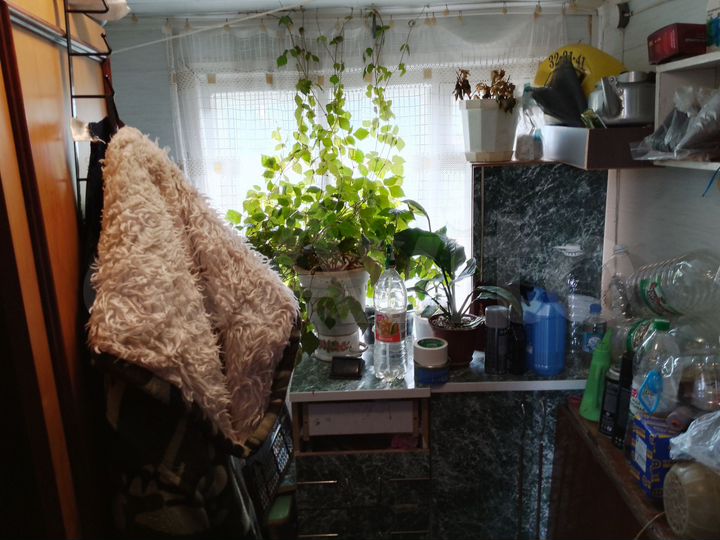 Дом 50 м² на участке 4 сот.