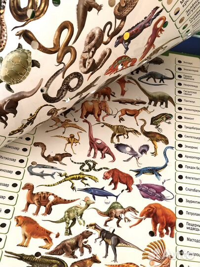 Электровикторина Educa «Животный мир»