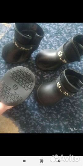 Одежда и амуниция для собак