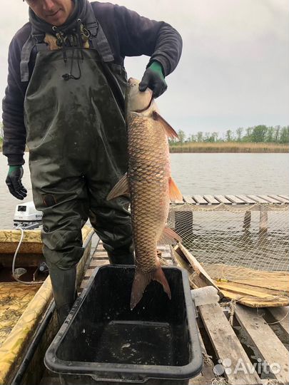 Рыбалка на Базе отдыха Албаши