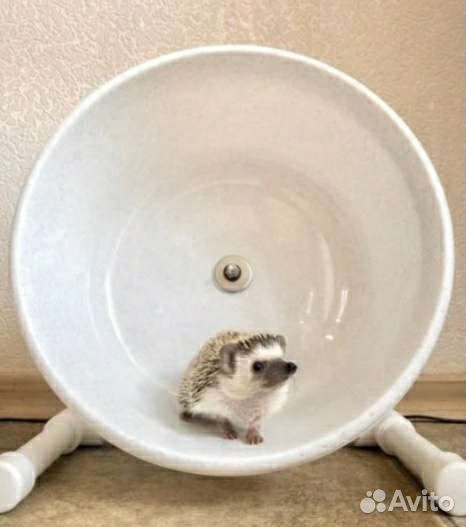 Беговые колеса для ежей и теплые мягкие домики