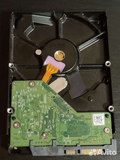 Жесткий диск 1 тб 3.5 WD blue