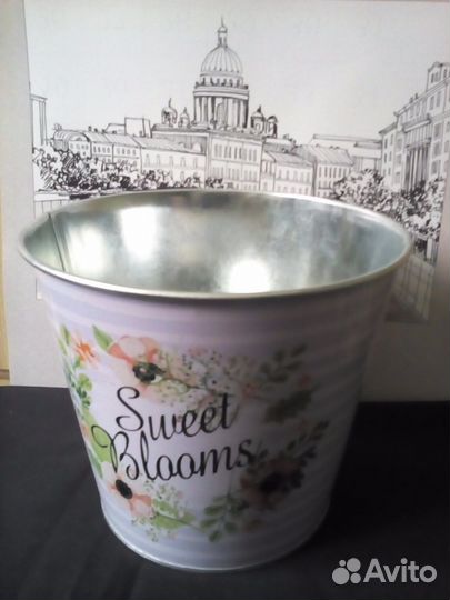 Ведерко для цветов, семена цветов бесплатно