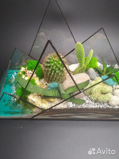 Флорариум 