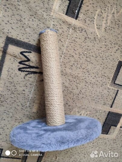 Когтеточка для кошек