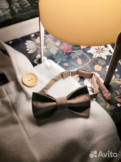 Галстук Бабочка