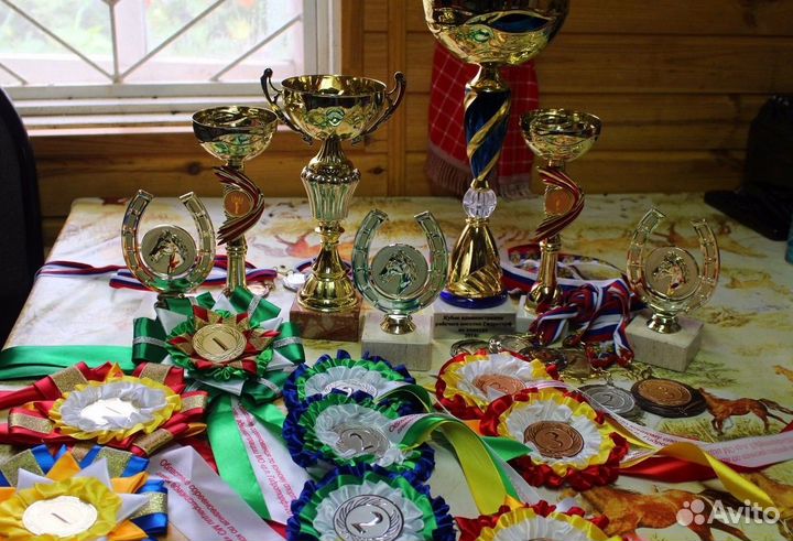 Постой лошадей