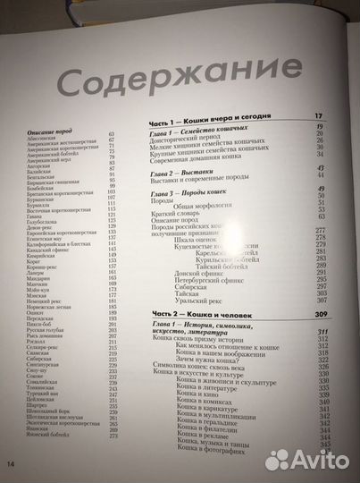 Энциклопедия Кошки. Авитодоставка+