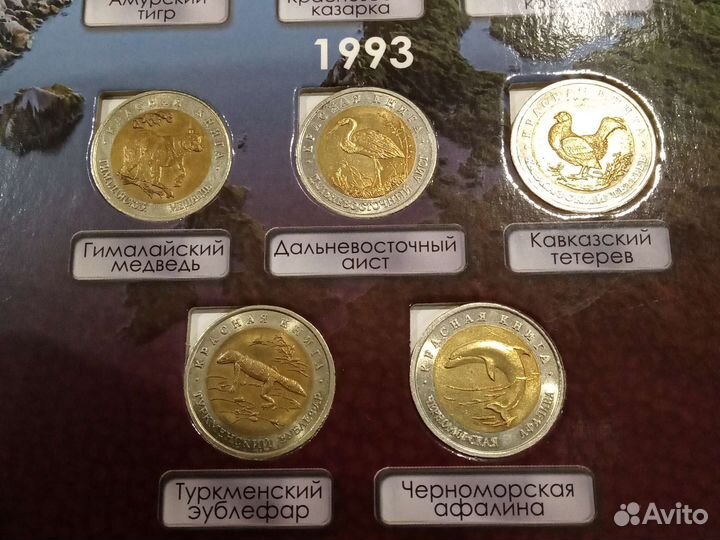 Красная книга