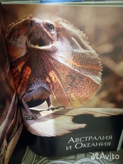 Живая природа Атлас иллюстрированный