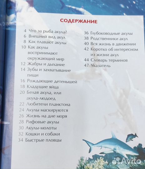 Детская энциклопедия росмэн