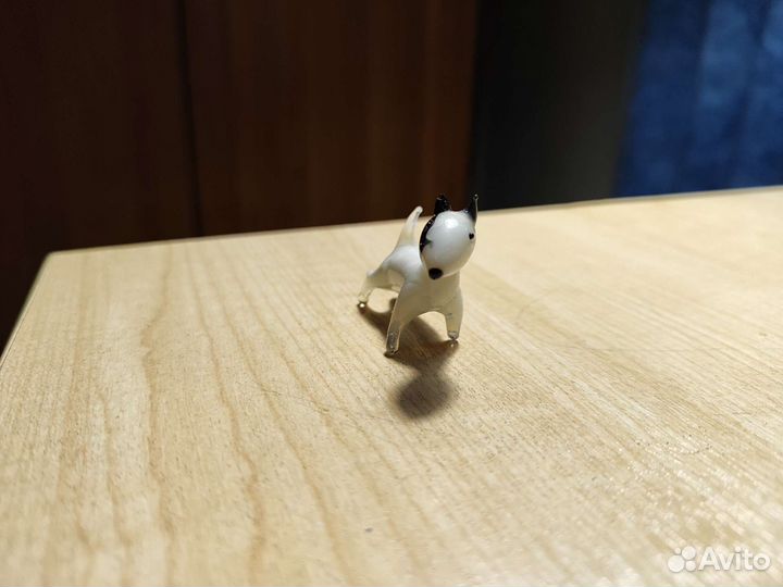 Маленькие собачки