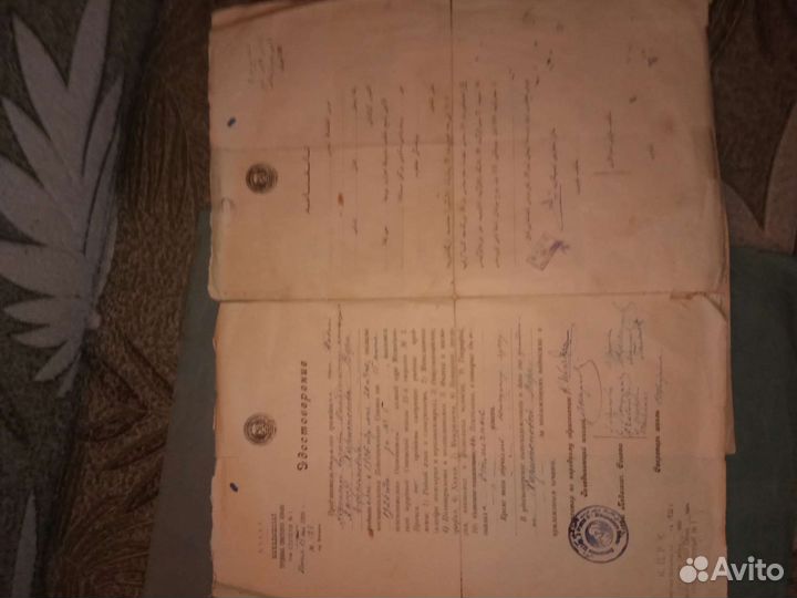 Аттестат зрелости 1950 год