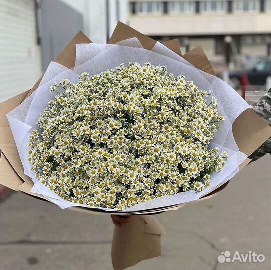 Букеты. Доставка ромашек