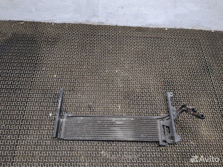 Радиатор масляный Volkswagen Tiguan, 2010