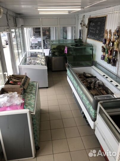 Рыбный магазин