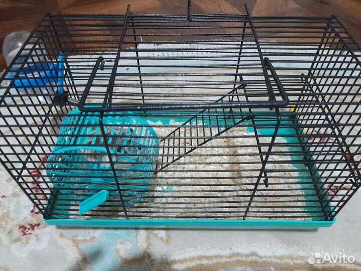Клетка для джунгарского хомяка