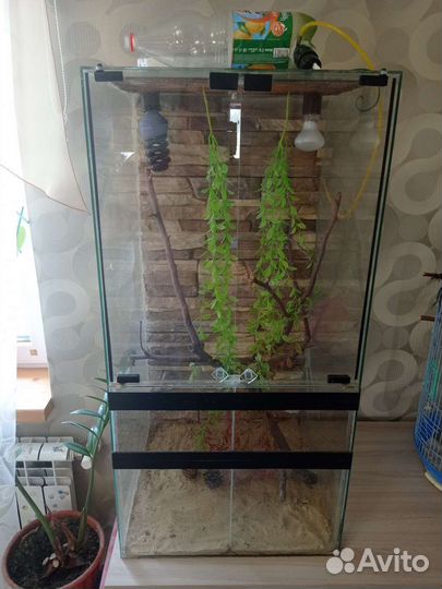 Террариум для хамелеона